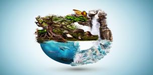 المركز الوطني لتنمية الحياة الفطرية